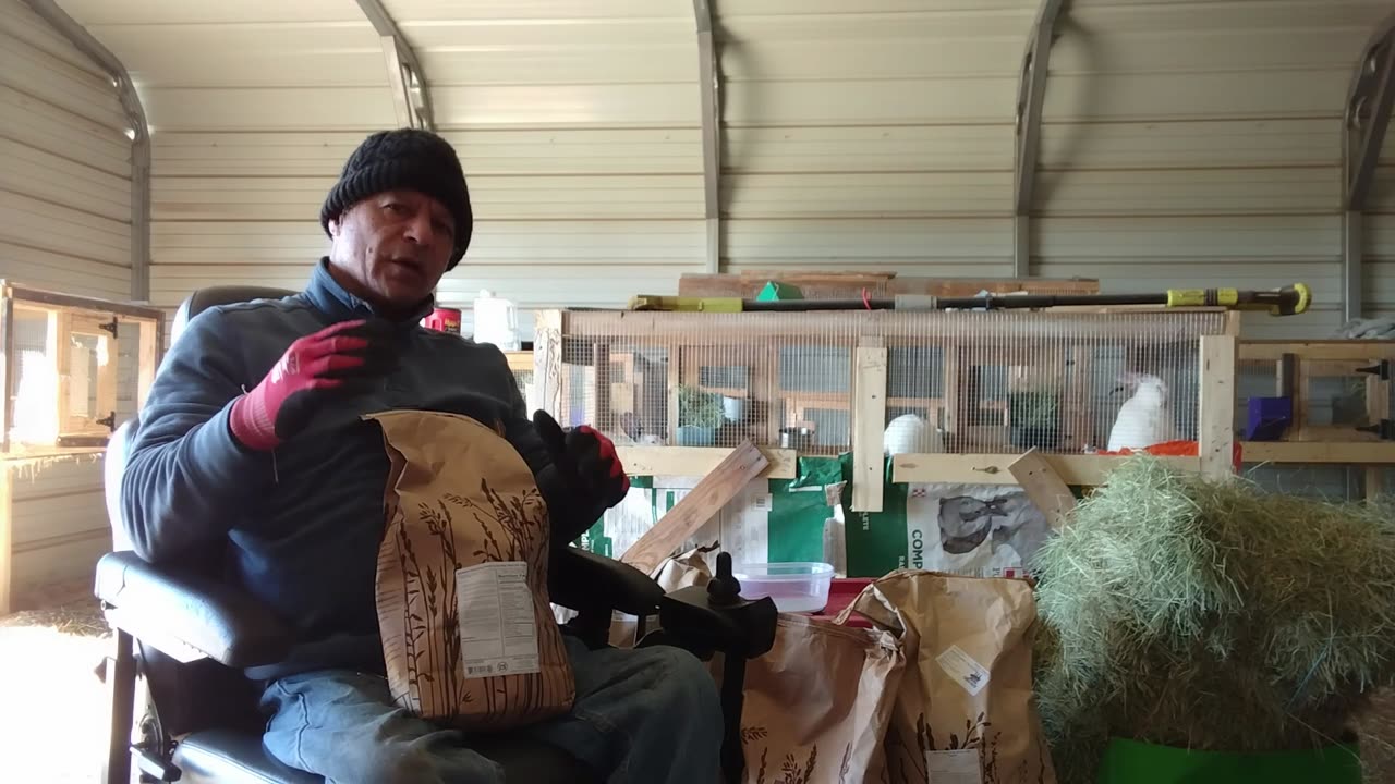 Mixing Our Own Chicken Feed For Healthy Chickens and High Nutrition Eggs