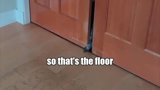 Who’s behind that door_!