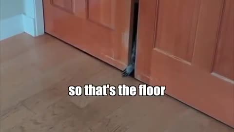 Who’s behind that door_!
