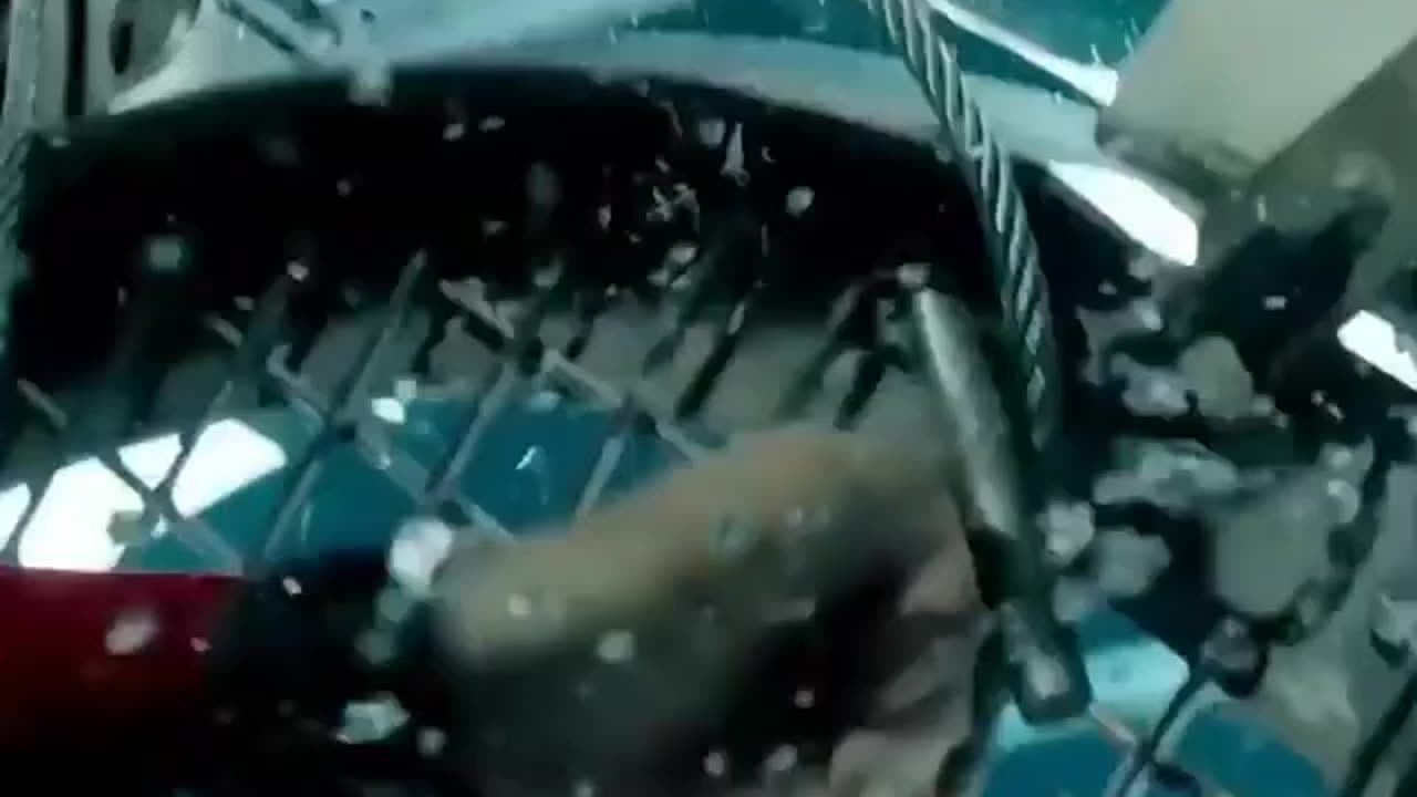 NUNCA SE META COM UM MEGATUBARÃO