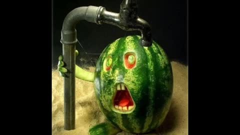 Niyet Neyde Akibet - M F Ö