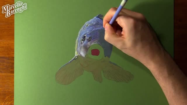 Draw The Color Texture Of Small Fish Head