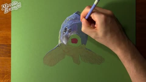 Draw The Color Texture Of Small Fish Head