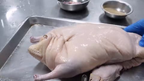 Cantonese roast duck (Duck sushi roll & Duck burrito)