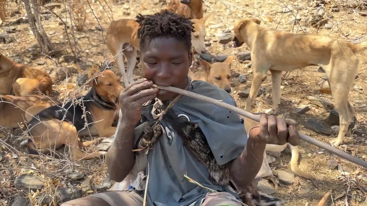 Hadzabe Tribe | See How Hadzabe Catch And Eat Their Food