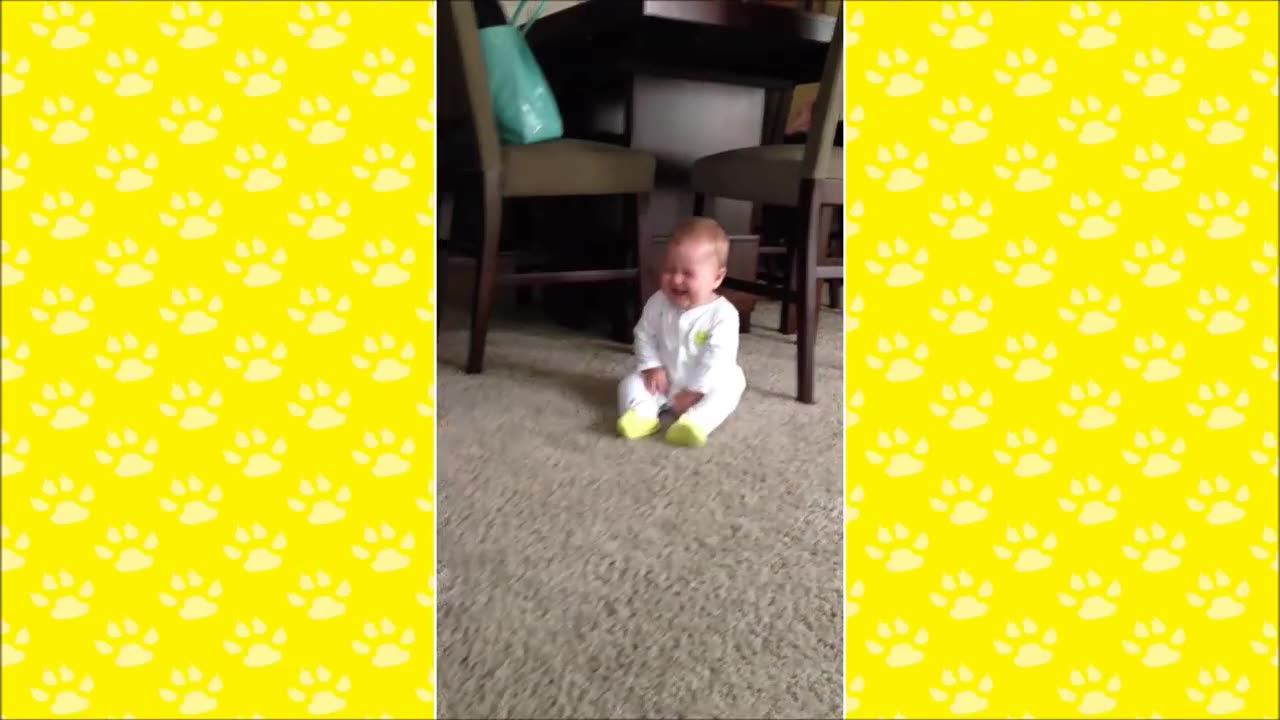 Babies fun with pets