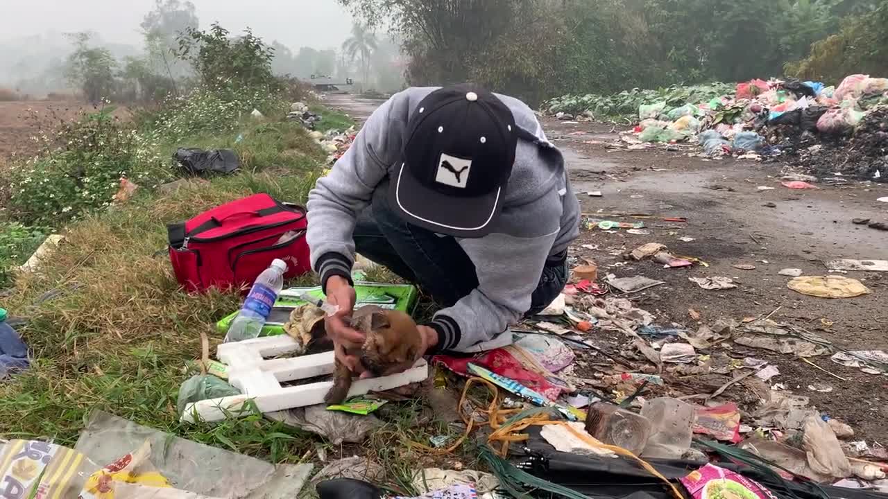 Rescue the poor puppy who had a seizure and was thrown in the dump