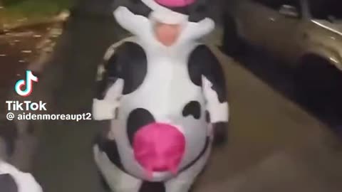 You told me to dress like a cow