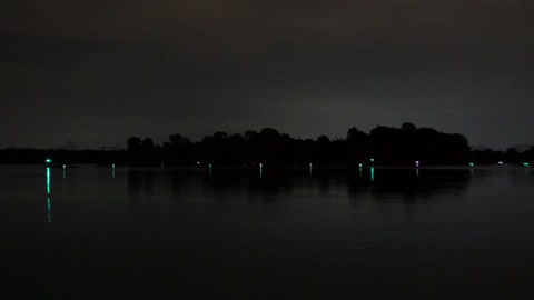 The Electrical Water Pageant, Seven Seas Lagoon | July 2021