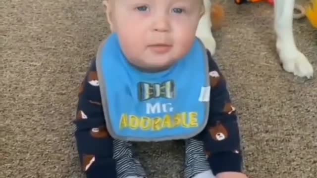 Funny family Videos