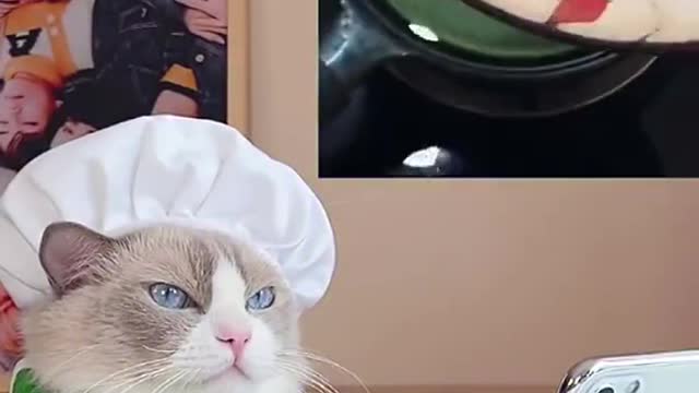 Can anyone hook us up with 🚀