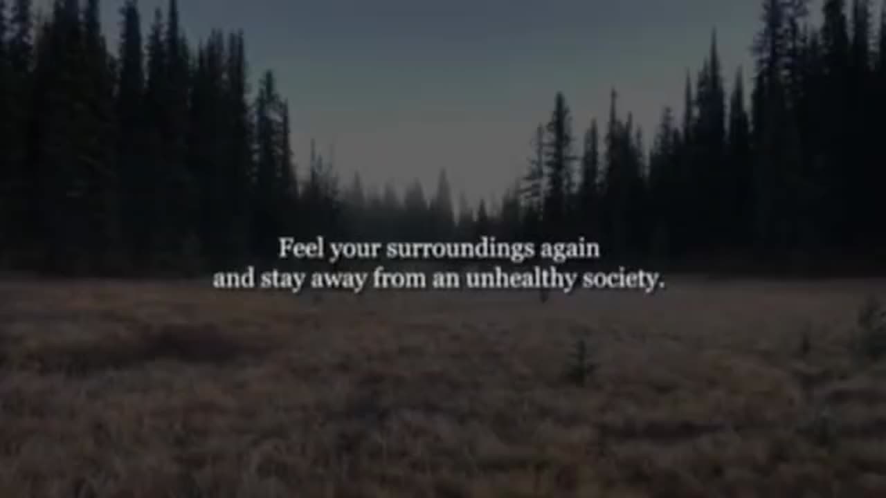 Nationalism edits - Get Back to Nature edit - Society is Cooked