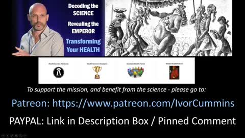 Covid talk at the Portugal Pandemic Conference [Ivor Cummins]