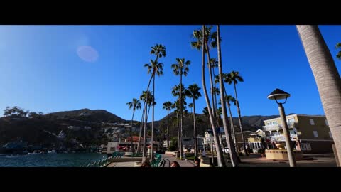 GoPro HERO10 Discovering the Beauty of Catalina Island