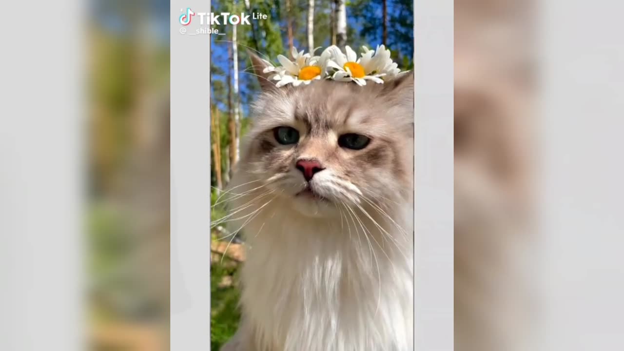 If you want to be mesmerized by beauty then watch this video
