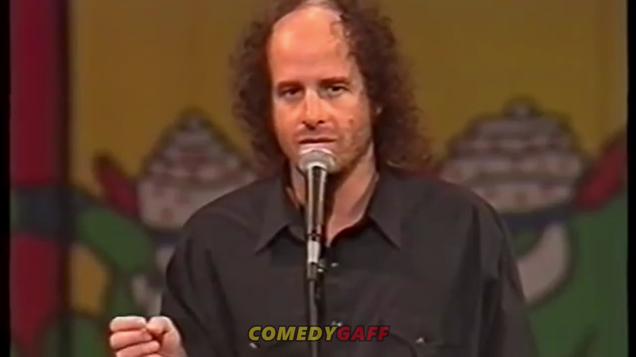 Steven Wright │ Stand Up Comedy │ 1995