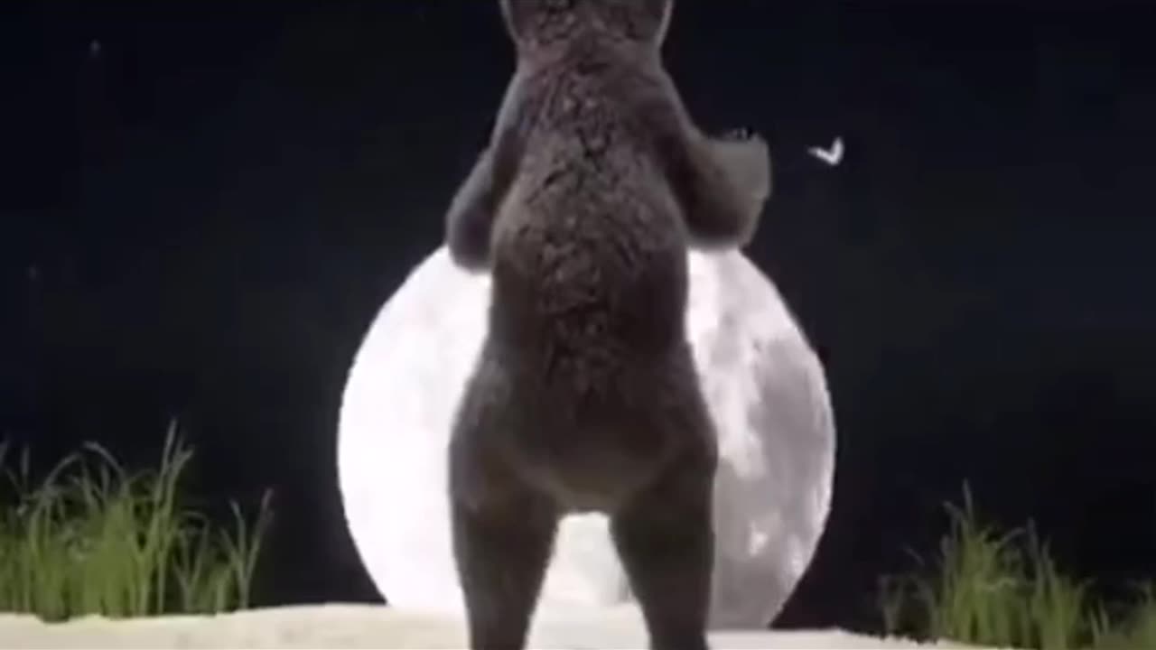 Scary Movement’s Part 3
