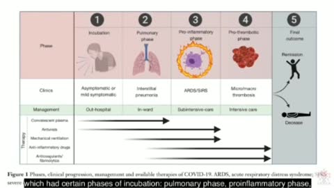 Dr Rochagné Kilian - Whistleblows Covid Vax and D-Dimer Levels ロシャグネキリアン博士の内部告発 CovidワクチンとD-ダイマーレベル