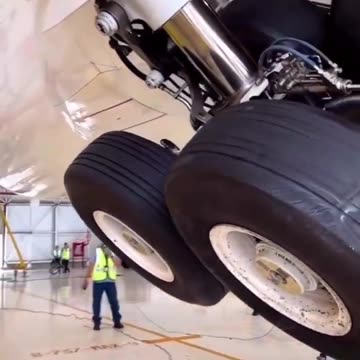 The actual size of an airliner's landing gear. A Boeing 787.