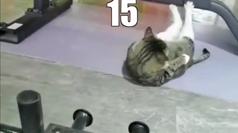 I can beat 18!