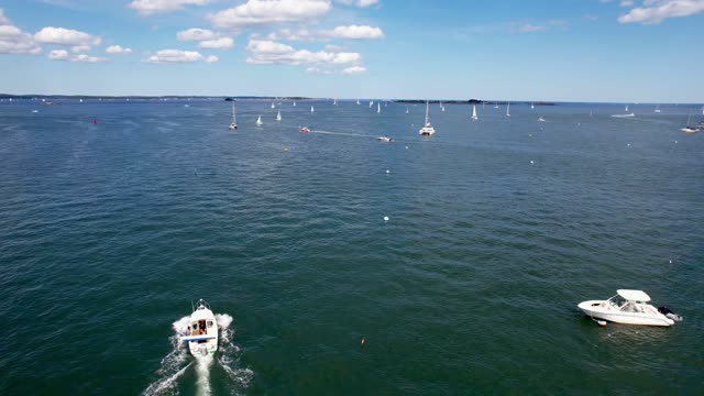 Harbor Boats Sailing Video Footage
