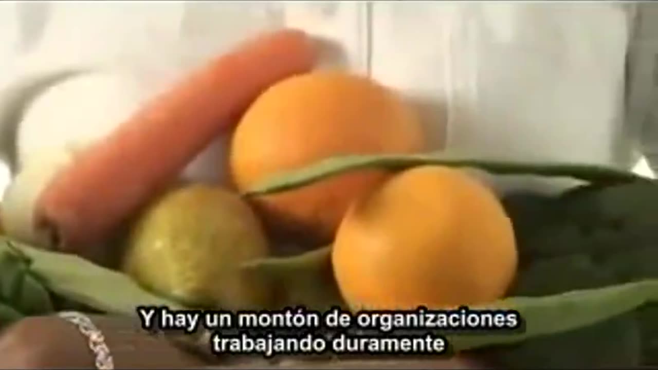 Programa de adoctrinamiento para el buen consumidor