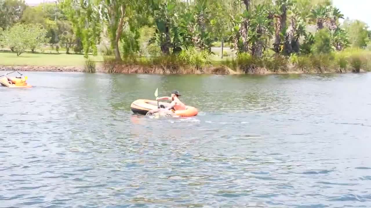 Swimming in Shark Infested Water!