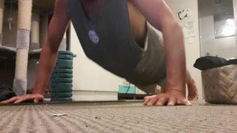 #8 20x4sets 80 pushups