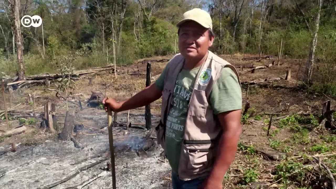 How fires are destroying Bolivia s forests _ DW Documentary