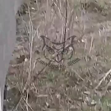 Ukraine War - Destroyed Ukrainian armored car (Graphic)