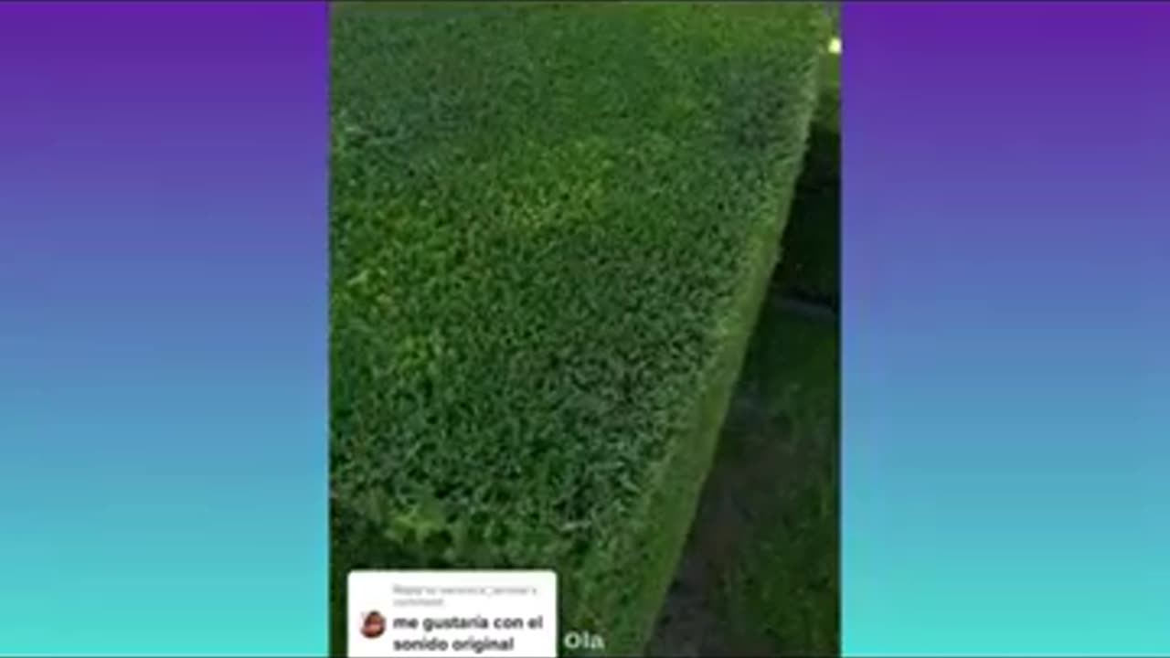 Oddly satisfying grass cutting