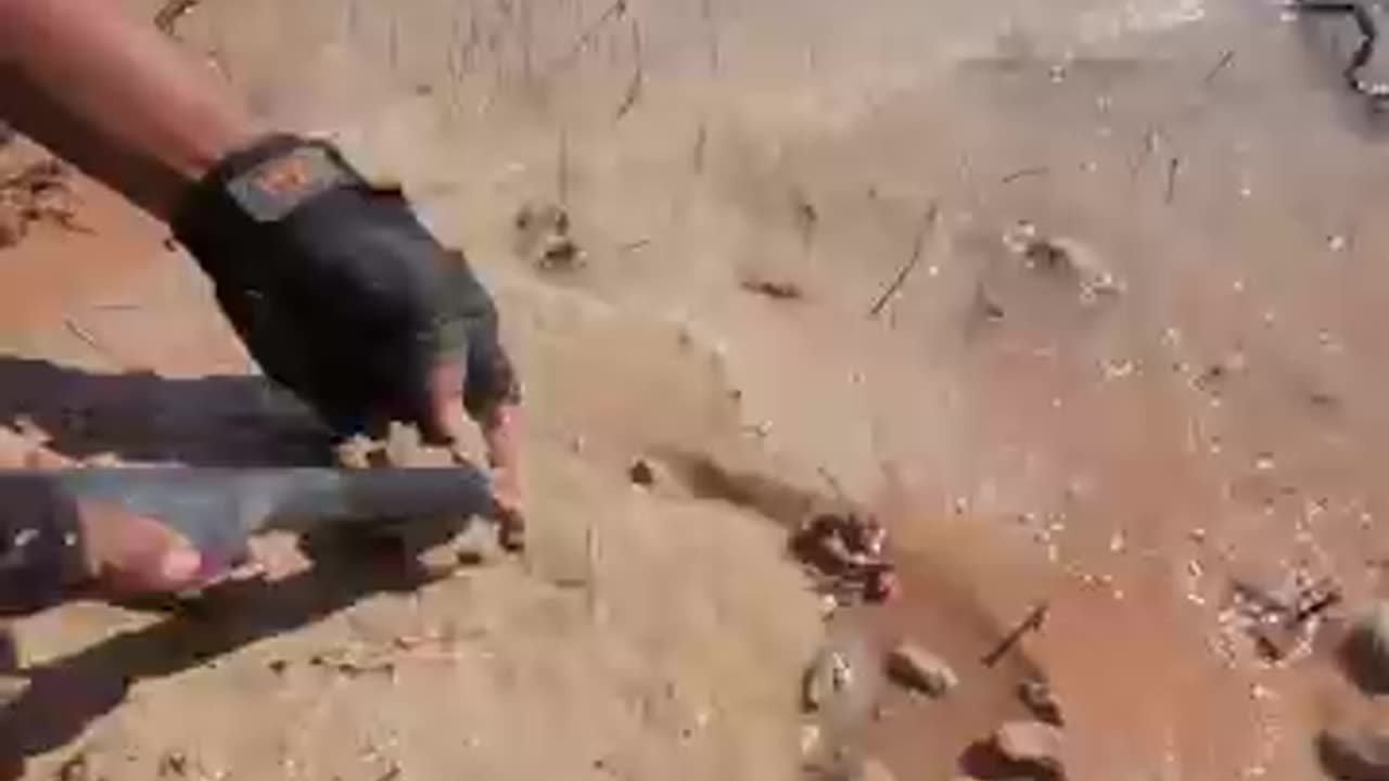 Gold hunting technique