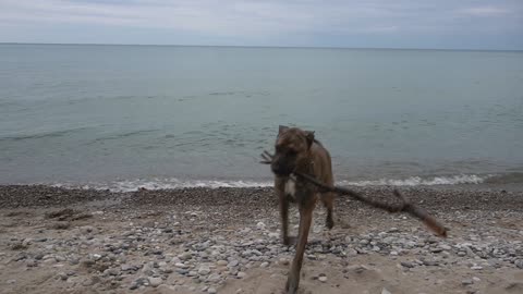 Municipality of Kincardine - Lake Huron
