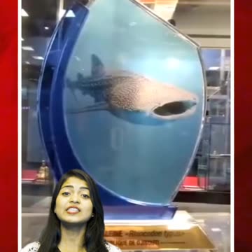 రాష్ట్రపతి భవన్లో సొర చేప GIFT స్పెషల్ అట్రాక్షన్! #short #rasthrapathibhavan #whalegift | FBTV NEWS