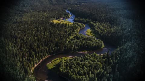 If you hear a bell ringing in this forest... RUN!