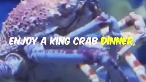 Amazing Fact About Alaskan King Crabs! #alaskankingcrab #animals #explore #adventure #ocean #shorts