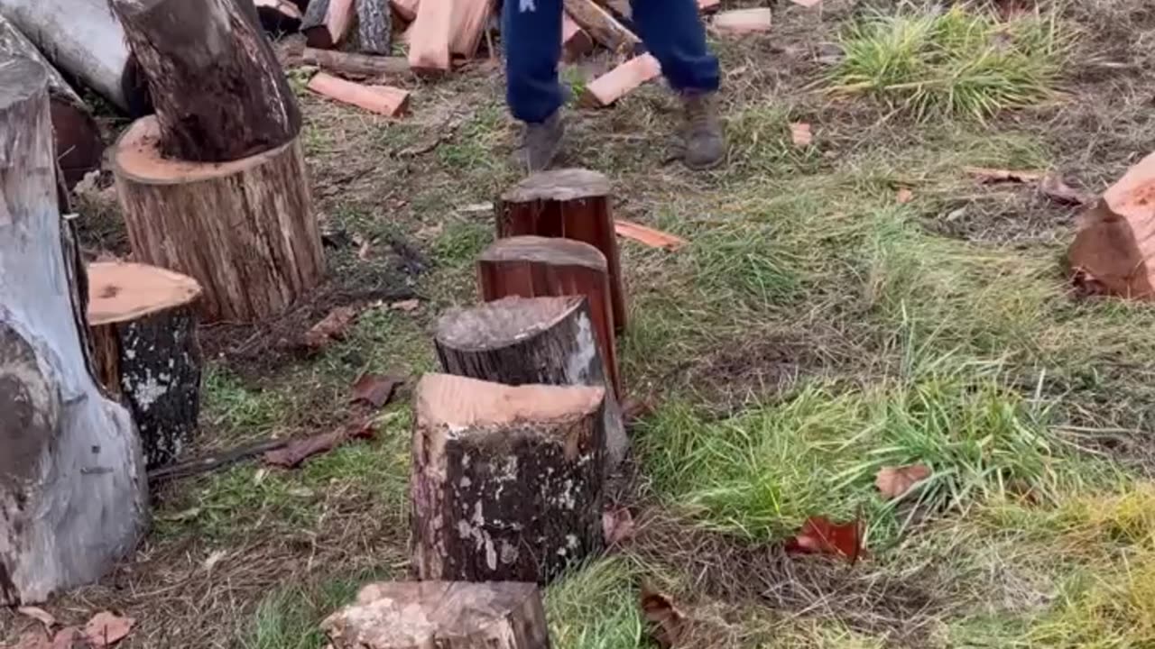 Firewood line up