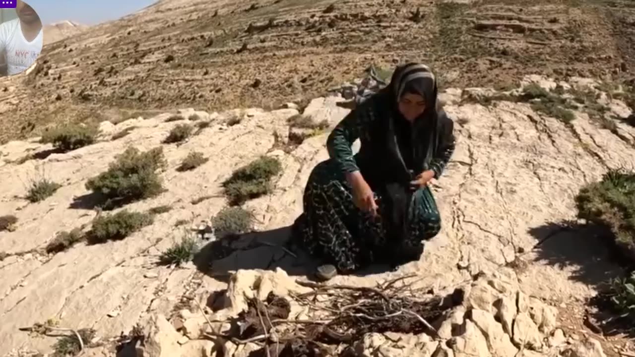 funnfunn
