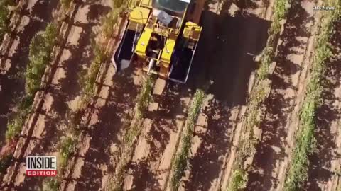 Wine Threatened by Climate Change