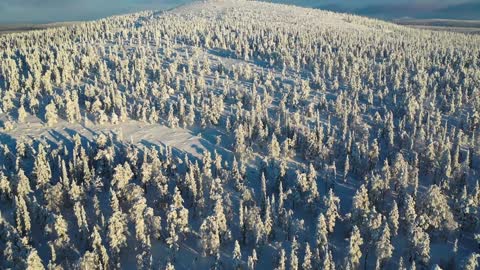 Mount Sallatunturi in Salla National Park in Lapland Finland kansallipuisto Arctic winter wonderland