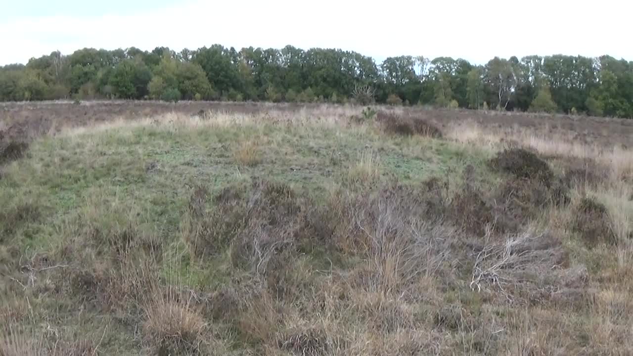 Grafheuvel G177 - Elspeet