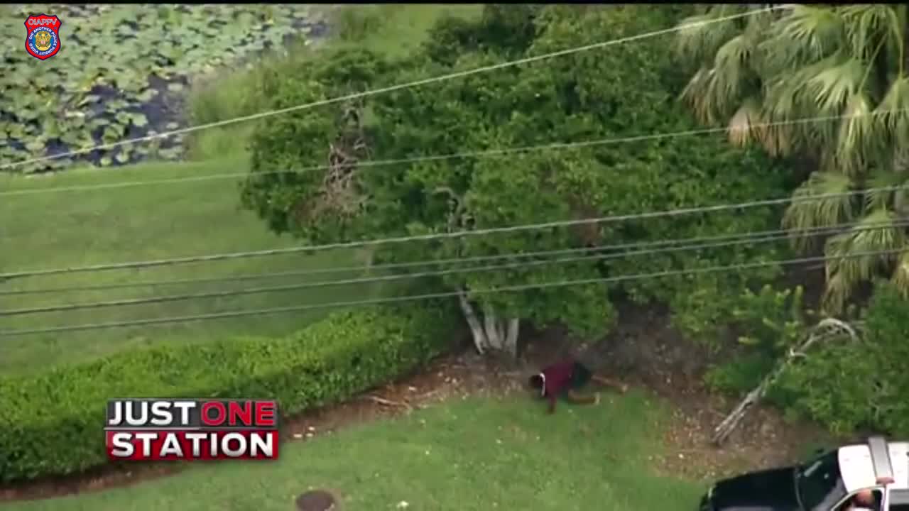 Florida Man Driving Stolen Vehicle Leads Police On Pursuit In Miramar