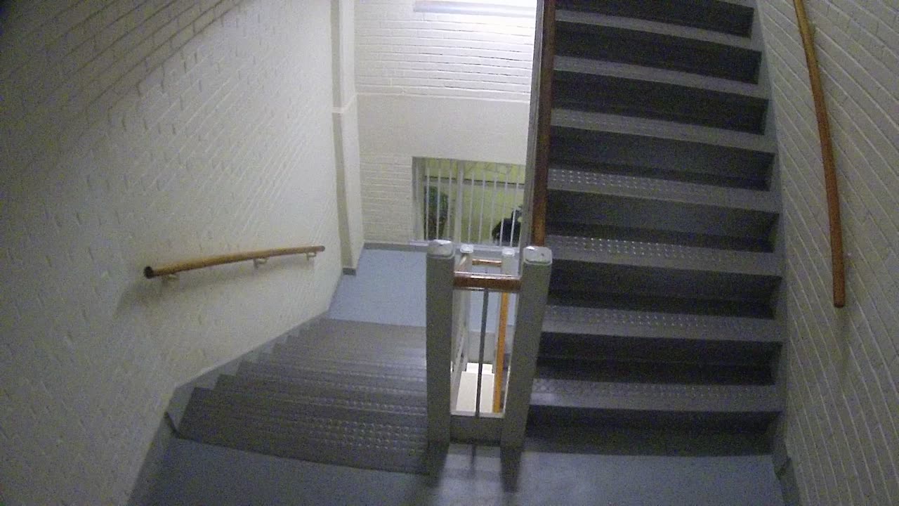 3883FHOB03Stair7_2021-01-06_05h22min08s127ms.mp4
