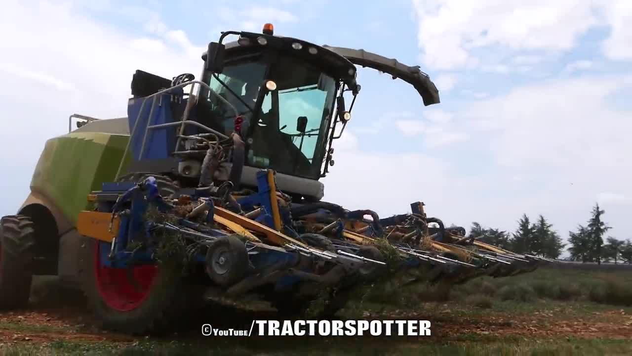 Lavender Harvest & Oil Distillation | Valensole - Provence - France 🇫🇷| large and small scale