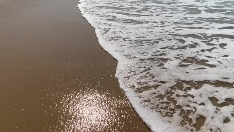 4/10 - Baia dos Golfinhos | Governador Celso Ramos - SC