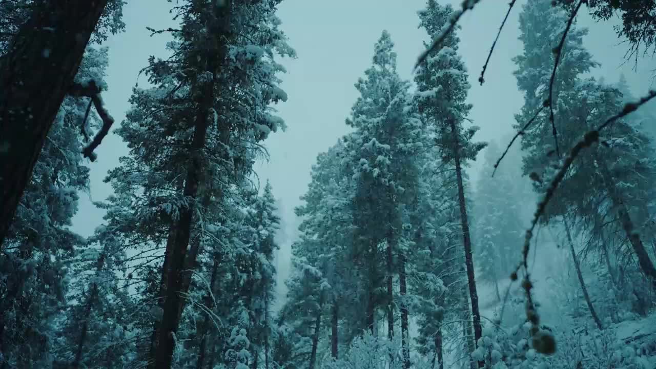 A Dark and Snowy Day In The Mountains