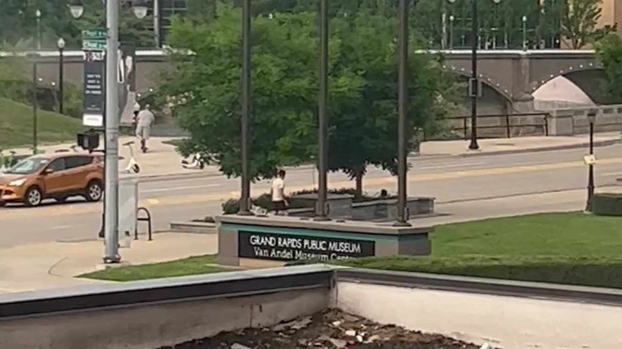 Territorial Birds Defend Their Trees