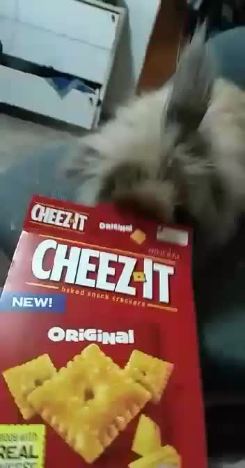 Jasper vs cheez-its