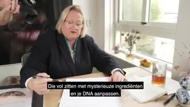 Catherine Austin Fitts legt hier het masterplan uit van de echte machthebbers.