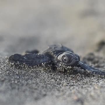 Cuteness overload 😍